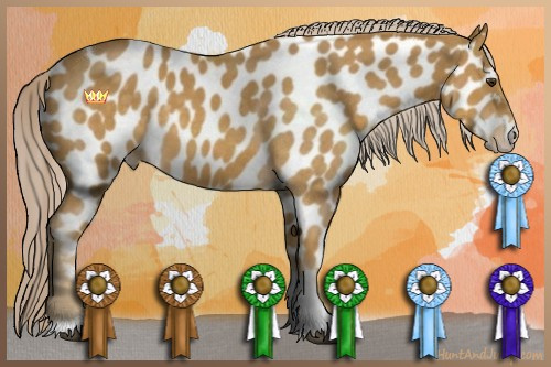 Horse Color:Palomino Roan Tobiano Near Leopard 
