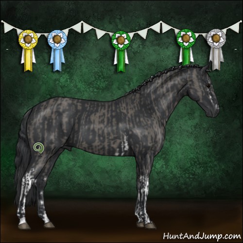 Horse Color:White Spotted Grullo Sabino  and Black 