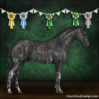 Horse Color:White Spotted Grullo Sabino  and Black 