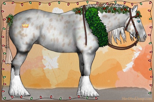 Horse Color:Buckskin Roan Pearl Splash Appaloosa 