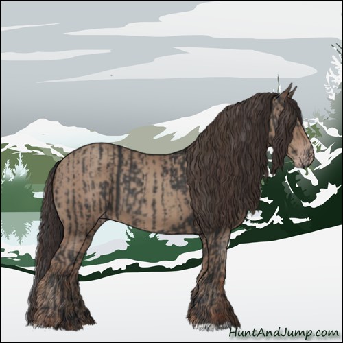 Horse Color:Black  and Classic Champagne 