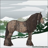 Horse Color:Black  and Classic Champagne 