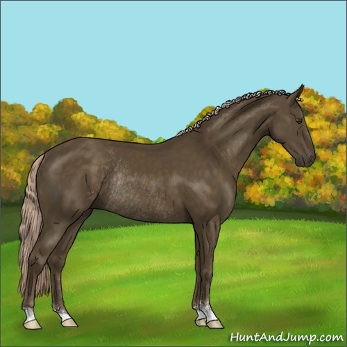 Horse Color:Chocolate Palomino Sabino Rabicano