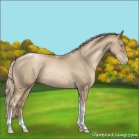 Horse Color:Chocolate Palomino Pearl Sabino Tobiano Rabicano 