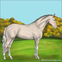 Horse Color:Cremello Sabino Tobiano Rabicano 