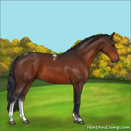 Horse Color:Bay Tobiano Rabicano