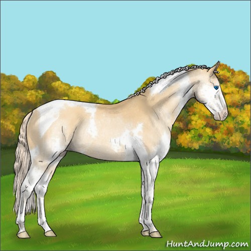 Horse Color:Gold Cream Champagne Splash Tobiano Rabicano