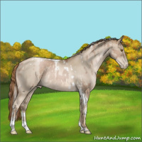 Horse Color:Silver Brown Pearl Tobiano Rabicano and Smoky Black Pearl Tobiano Rabicano