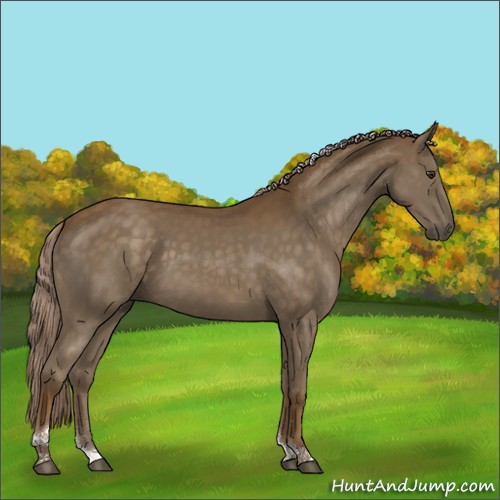 Horse Color:Chocolate Palomino Tobiano Rabicano 