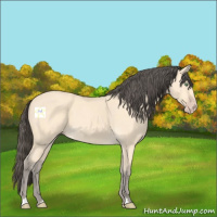Horse Color:Amber Cream Champagne 