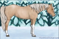 Horse Color:Silver Blue Roan Pearl Tobiano Frame 