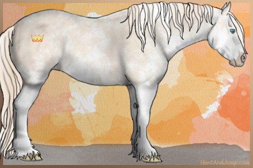 Horse Color:Perlino Sabino 