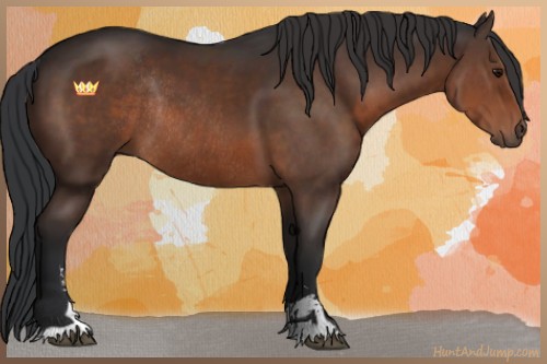 Horse Color:Brown Sabino Rabicano 