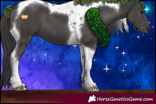 Horse Color:Smoky Black Tobiano 