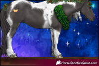 Horse Color:Smoky Black Tobiano 