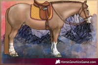 Horse Color:Liver Chestnut Pearl