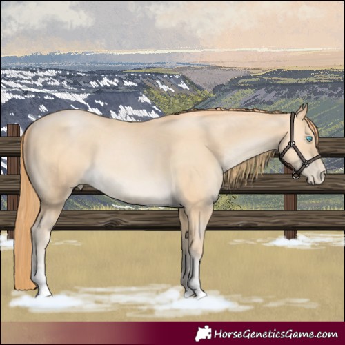 Horse Color:Buckskin Pearl Tobiano 