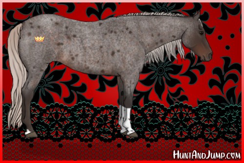 Horse Color:Silver Brown Roan Tobiano 