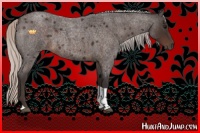 Horse Color:Silver Brown Roan Tobiano 