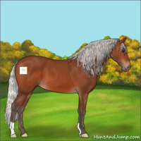 Horse Color:Silver Brown 