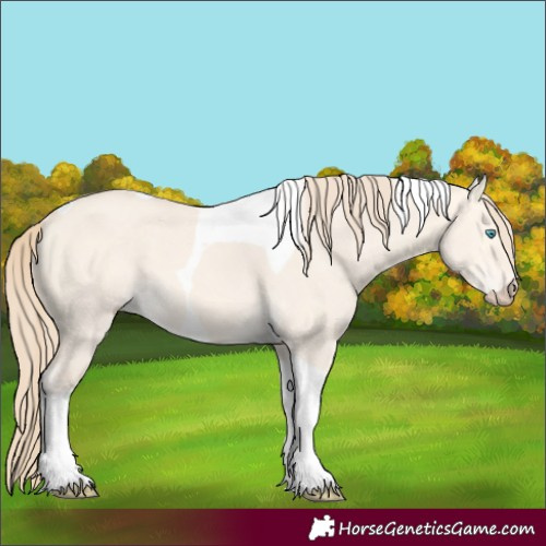 Horse Color:Perlino Dun Tobiano 