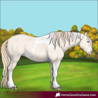 Horse Color:Perlino Dun Tobiano