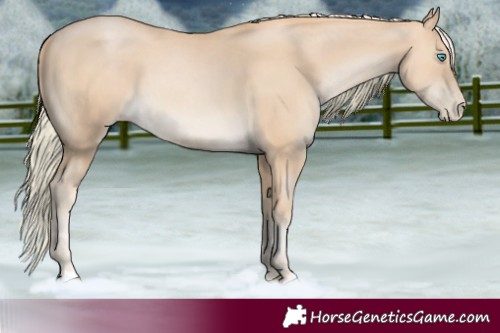 Horse Color:Palomino Pearl 