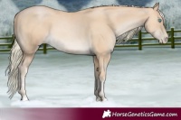 Horse Color:Palomino Pearl 