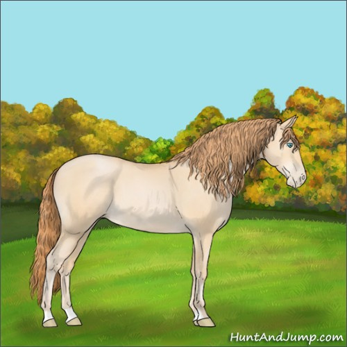 Horse Color:Buckskin Pearl 