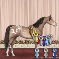 Horse Color:Sable Champagne Sabino Appaloosa Rabicano 