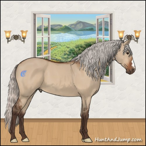 Horse Color:Silver Bay Dun 