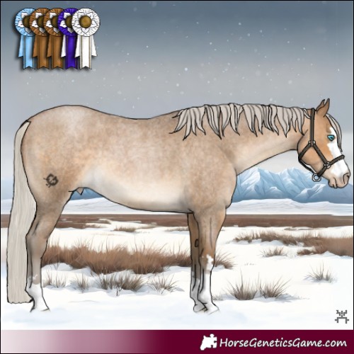 Horse Color:Gray Silver Buckskin Roan Pearl