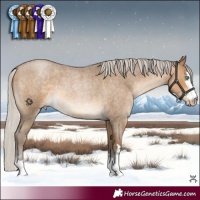 Horse Color:Gray Silver Buckskin Roan Pearl