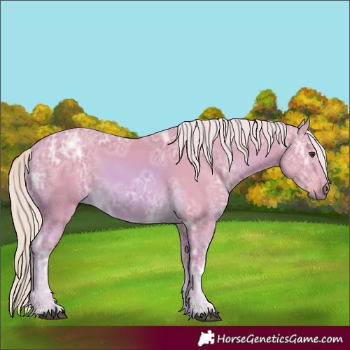 Horse Color:Watercolor Palomino Ice 