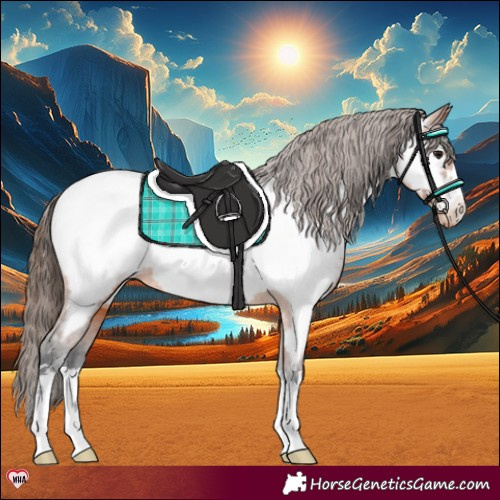 Horse Color:Bay Near Fewspot
