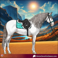 Horse Color:Bay Near Fewspot 
