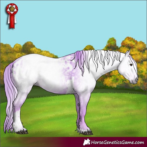 Horse Color:Gray Watercolor Chestnut Tobiano Near Leopard 