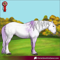 Horse Color:Gray Watercolor Chestnut Tobiano Near Leopard