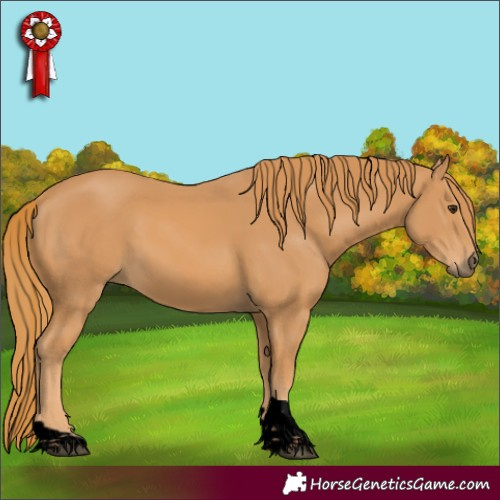 Horse Color:Void Chestnut Tobiano 