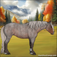 Horse Color:Silver Blue Roan Sabino 