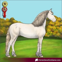 Horse Color:Buckskin Pearl 