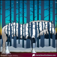 Horse Color:Blue Roan Snowflake Varnish