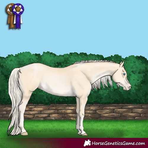 Horse Color:Palomino Pearl 