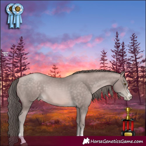Horse Color:Platinum Brown Pearl 