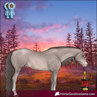 Horse Color:Platinum Brown Pearl 