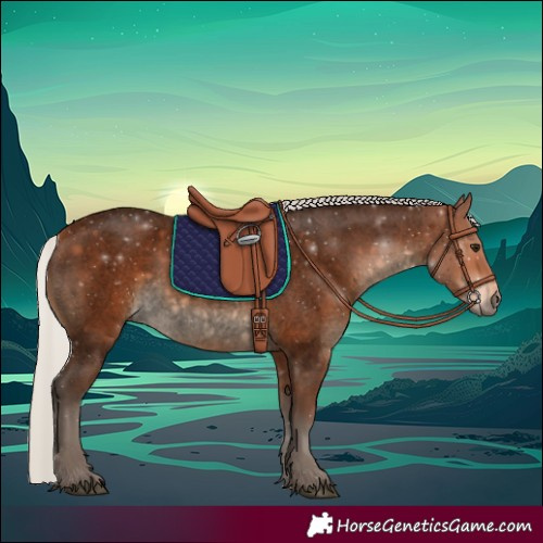 Horse Color:Void Silver Brown Roan 
