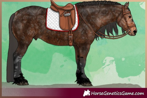 Horse Color:Void Bay Ice Roan 