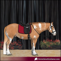 Horse Color:Chestnut Sabino