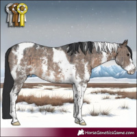Horse Color:Brown Dun Sabino Tobiano Brindle 