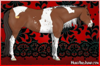 Horse Color:Bay Sabino Tobiano 